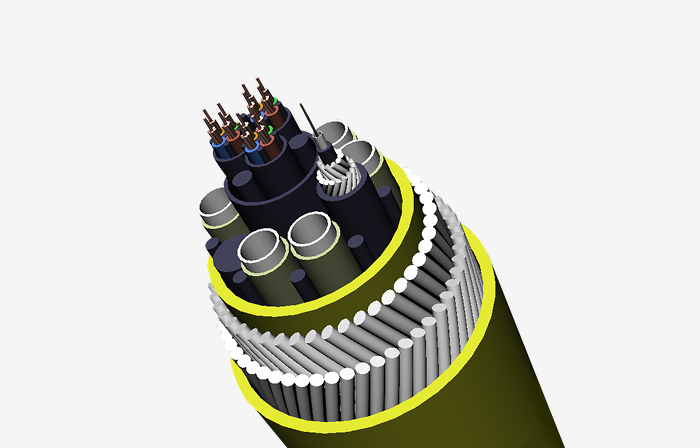 c1_img03.jpg