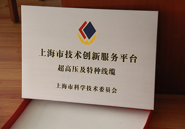 上海市超高壓及特種線纜技術(shù)創(chuàng)新服務(wù)平臺(tái).jpg