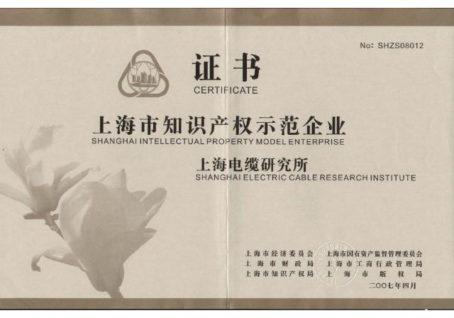 上海市知識(shí)產(chǎn)權(quán)示范企業(yè).png