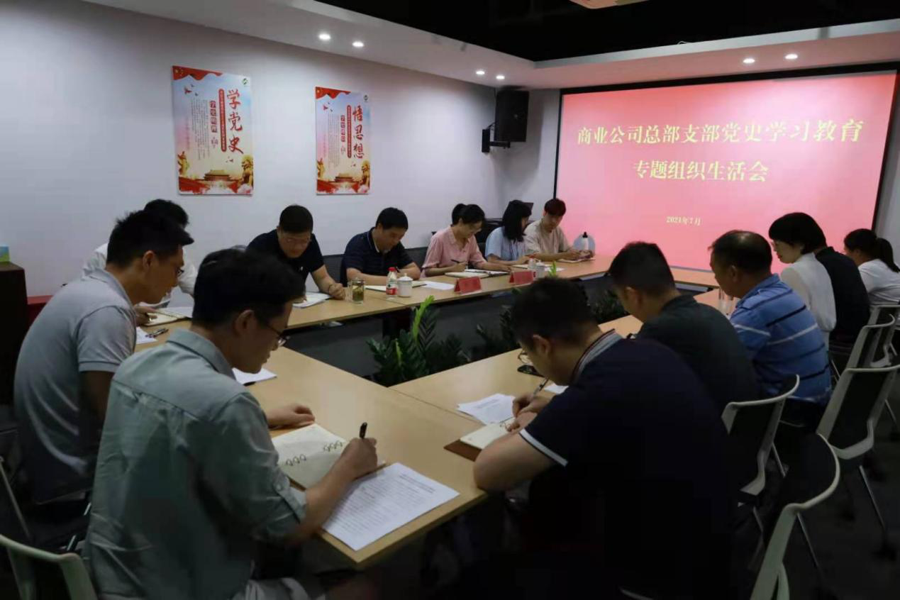 商業(yè)公司召開(kāi)黨史學(xué)習(xí)教育黨支部專題組織生活會(huì)