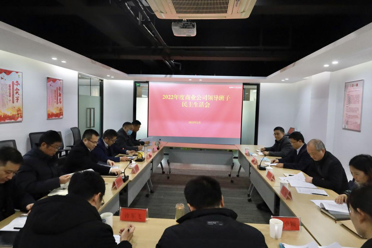 商業(yè)公司黨總支召開2022年度民主生活會